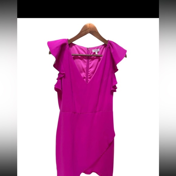 TCEC Dresses & Skirts - TCEC Flutter Sleeve Dress Pink Size M